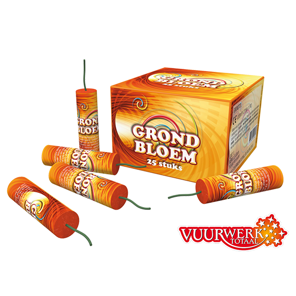 Grondbloem color 25 st